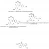  2-Desmethyl-2-hydroxymethyl 