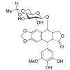  3-O-Desmethyl Etoposide 