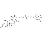  Dexamethasone-biotin 