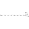  N,N-Dimethylhexadecylamine-N- 