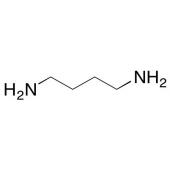  1,4-Diaminobutane 