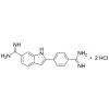  4,6-Diamidino-2-phenylindole 