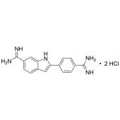  4,6-Diamidino-2-phenylindole 