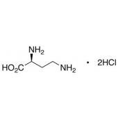  L-2,4-Diaminobutyric Acid, 