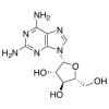  2,6-Diaminopurine Arabinoside 