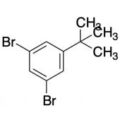  1,3-Dibromo-5-t-butylbenzene 