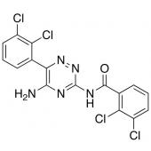  3-(2,3-Dichlorobenzamido) 