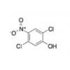  2,5-Dichloro-4-nitrophenol 