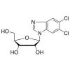  5,6-Dichloropurine-1--D-ribo 