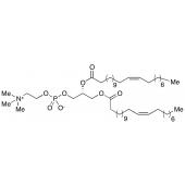  L-Dierucoyl Lecithin 