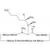  Dihydro Cyclosporin A 