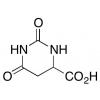  DL-Dihydoorotic Acid 