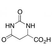  DL-Dihydoorotic Acid 