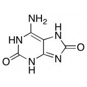  2,8-Dihydroxyadenine 