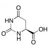  L-Dihydroorotic acid 