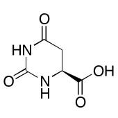  L-Dihydroorotic acid 