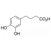  4-(3,4-Dihydroxyphenyl)butyric 