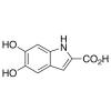  5,6-Dihydroxyindole-2- 