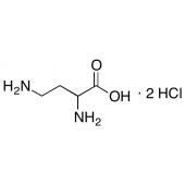  DL-2,4-Diaminobutyric Acid 