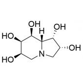  6,7-Dihydroxyswainsonine 