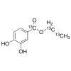  Ethyl 3,4-Dihydroxybenzoate- 