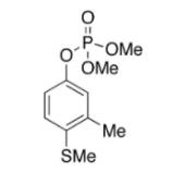  Fenthion-oxon (Fenthoxon) 