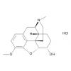  Dihydrocodeine Hydrochloride 