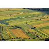  Papier exempts phosphate, 