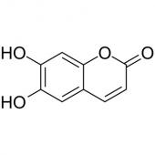  Esculetin 