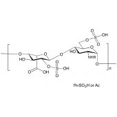  Heparan Sulfate 