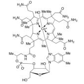  Hydroxocobalamin (~90%) 