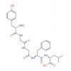  Leu-Enkephalin 