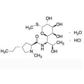  Lincomycin hydrochloride 