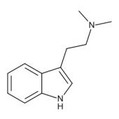  N,N-Dimethyltryptamine 