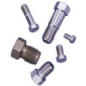  Nut Inox 1/8" fond plat 