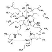  Mecobalamin 