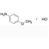  4-Methoxyaniline hydrochloride 