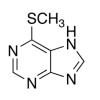  6-Methylmercaptopurine 