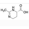  (S)-2-Methyl-1,4,5,6-tetrahy 