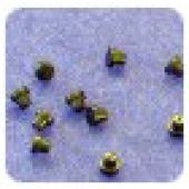  Ferrule Nanoport 6-32 fond 