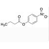 4-Nitrophenyl Butyrate 