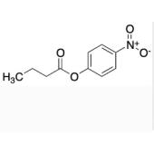  4-Nitrophenyl Butyrate 