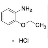  o-phenetidine hydrochloride 