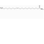  cis-13-Docosenamide (>85%) 