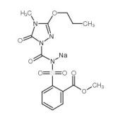  Propoxycarbazone Sodium Salt 