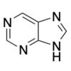  Purine 