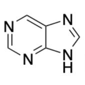  Purine 