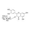 Quercetin 3-O-�-D Glucoside 