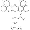  5-ROX Sodium Salt 