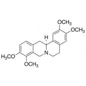  Rotundine 